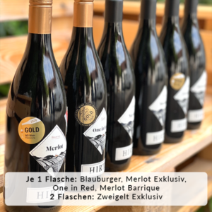 Rotweinpaket mit sechs hochwertigen Rotweinen aus Österreich, darunter Zweigelt, Merlot, Blauburger und Cuvée – ideal für Herbst, Winter und festliche Menüs.