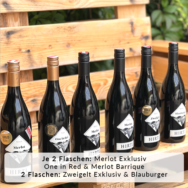 Rotweinpaket mit zwölf hochwertigen Rotweinen aus Österreich, darunter Zweigelt, Merlot, Blauburger und Cuvée – ideal für Herbst, Winter und festliche Menüs.