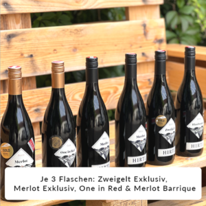Rotweinpaket mit zwölf hochwertigen Rotweinen aus Österreich, darunter Zweigelt, Merlot, Blauburger und Cuvée – ideal für Herbst, Winter und festliche Menüs.
