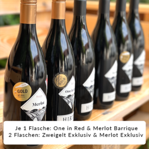 Rotweinpaket mit sechs hochwertigen Rotweinen aus Österreich, darunter Zweigelt, Merlot, Blauburger und Cuvée – ideal für Herbst, Winter und festliche Menüs.