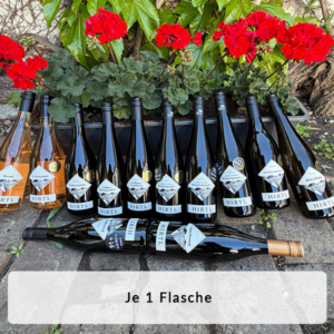 Flüssiges Gold Paket mit 12 prämierten Weinen – Auswahl aus Frizzante, Weißwein, Rotwein und Reserveweinen in 0,75-l-Flaschen.
