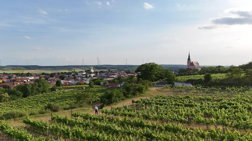 Riede Kirchberg in Poysdorf